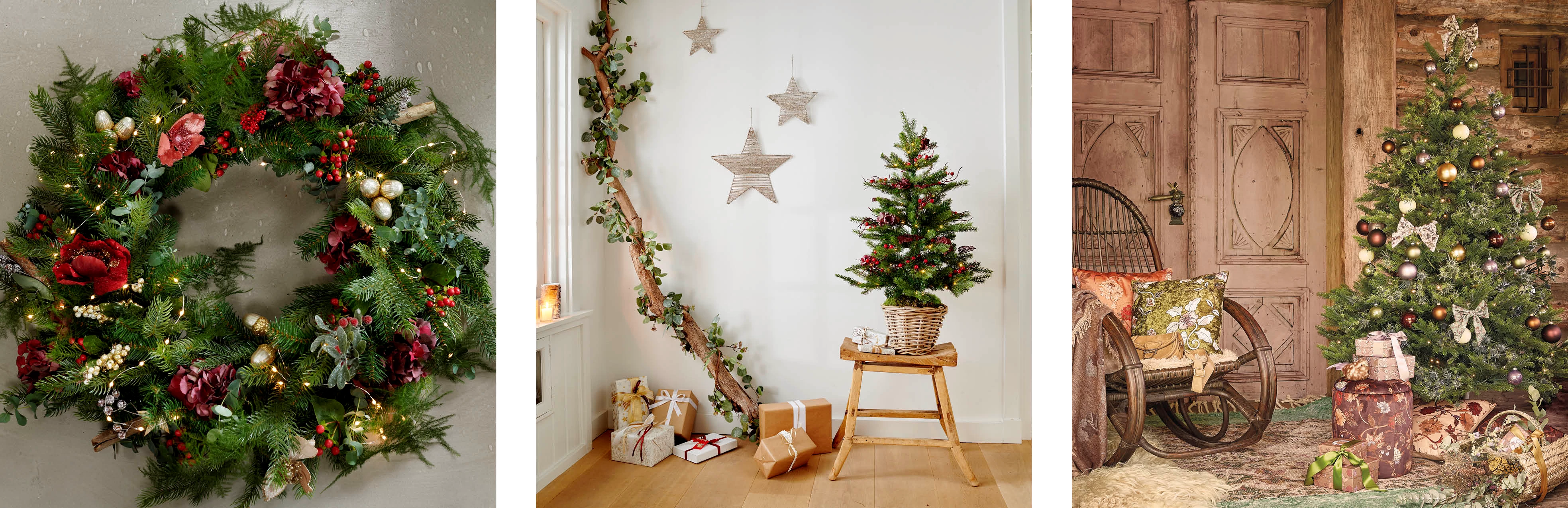 BLOG Herkomst kerstboom