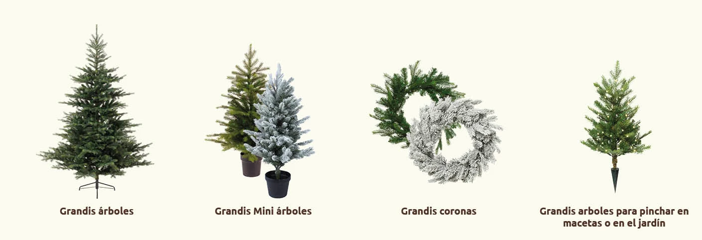 Complete coll GrandisFir_ES.jpg