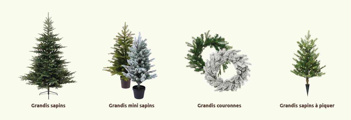 Complete coll GrandisFir_FR.jpg