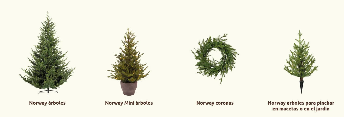 Complete coll NorwaySpruce_ES.jpg