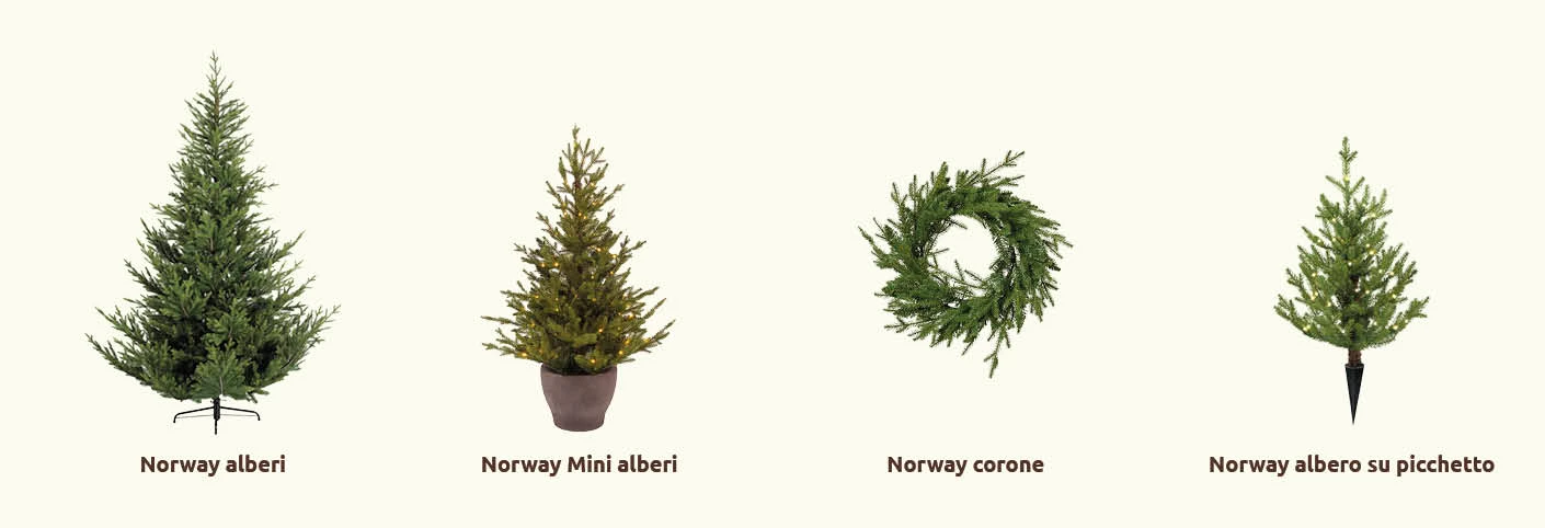 Complete coll NorwaySpruce_IT.jpg
