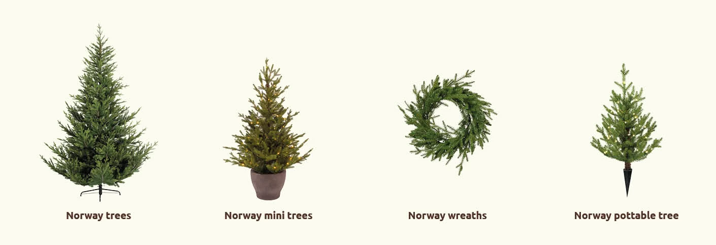 Complete coll. NorwaySpruce_EN_.jpg