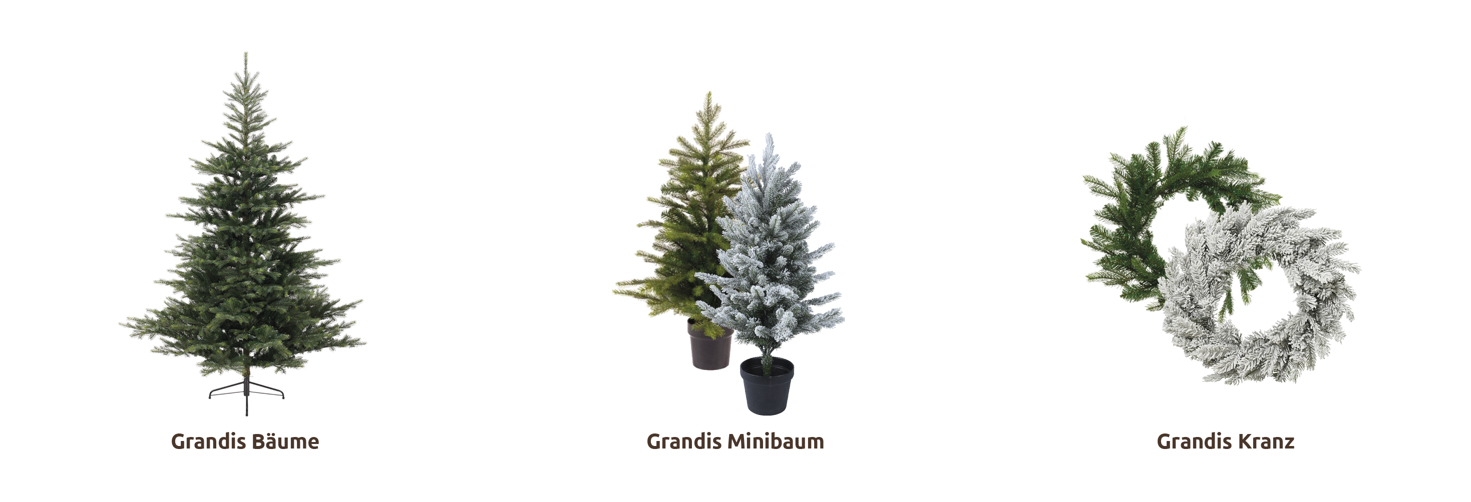 Complete coll Grandis_DE.png