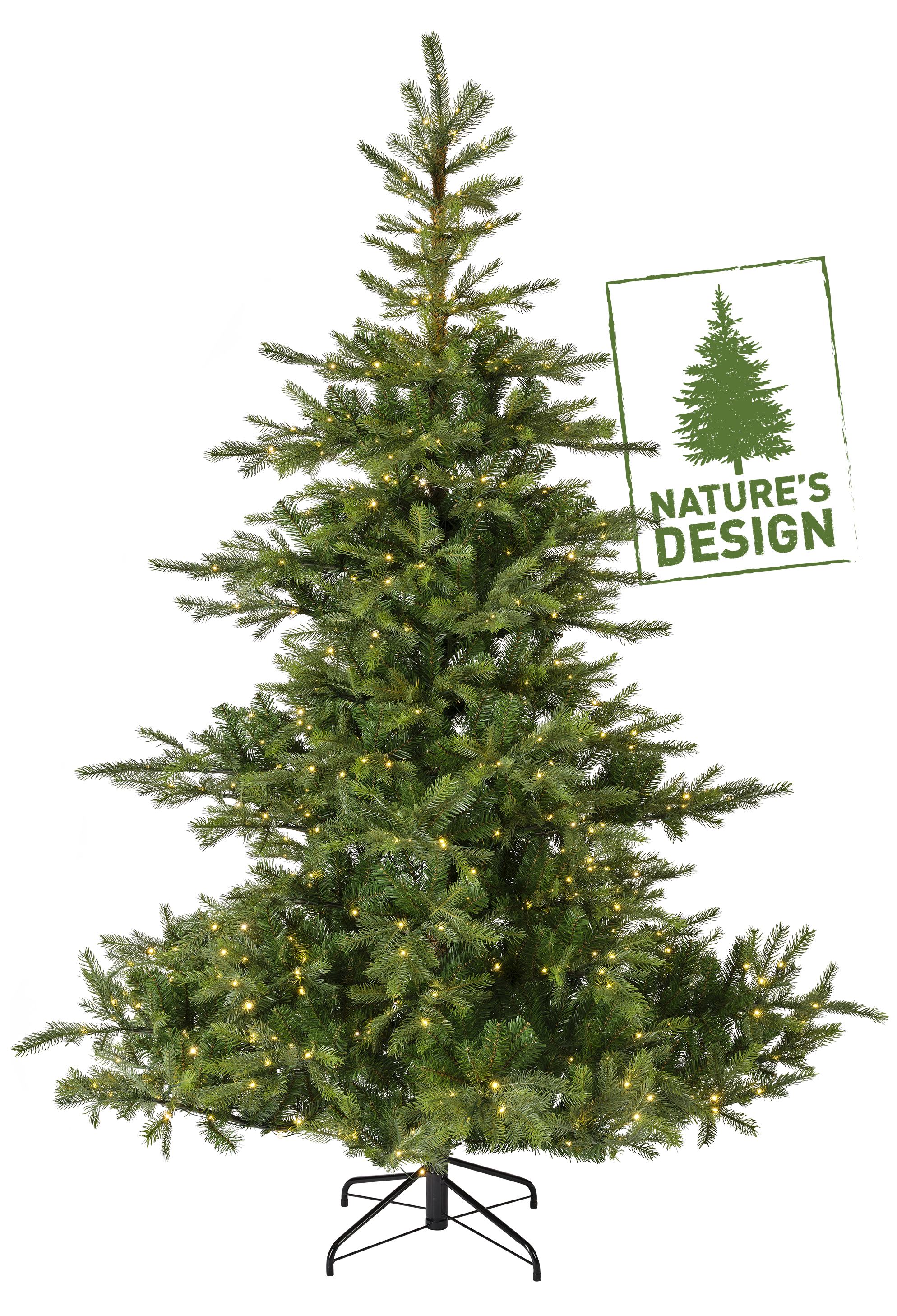 Segment_Grandis Fir_a.png