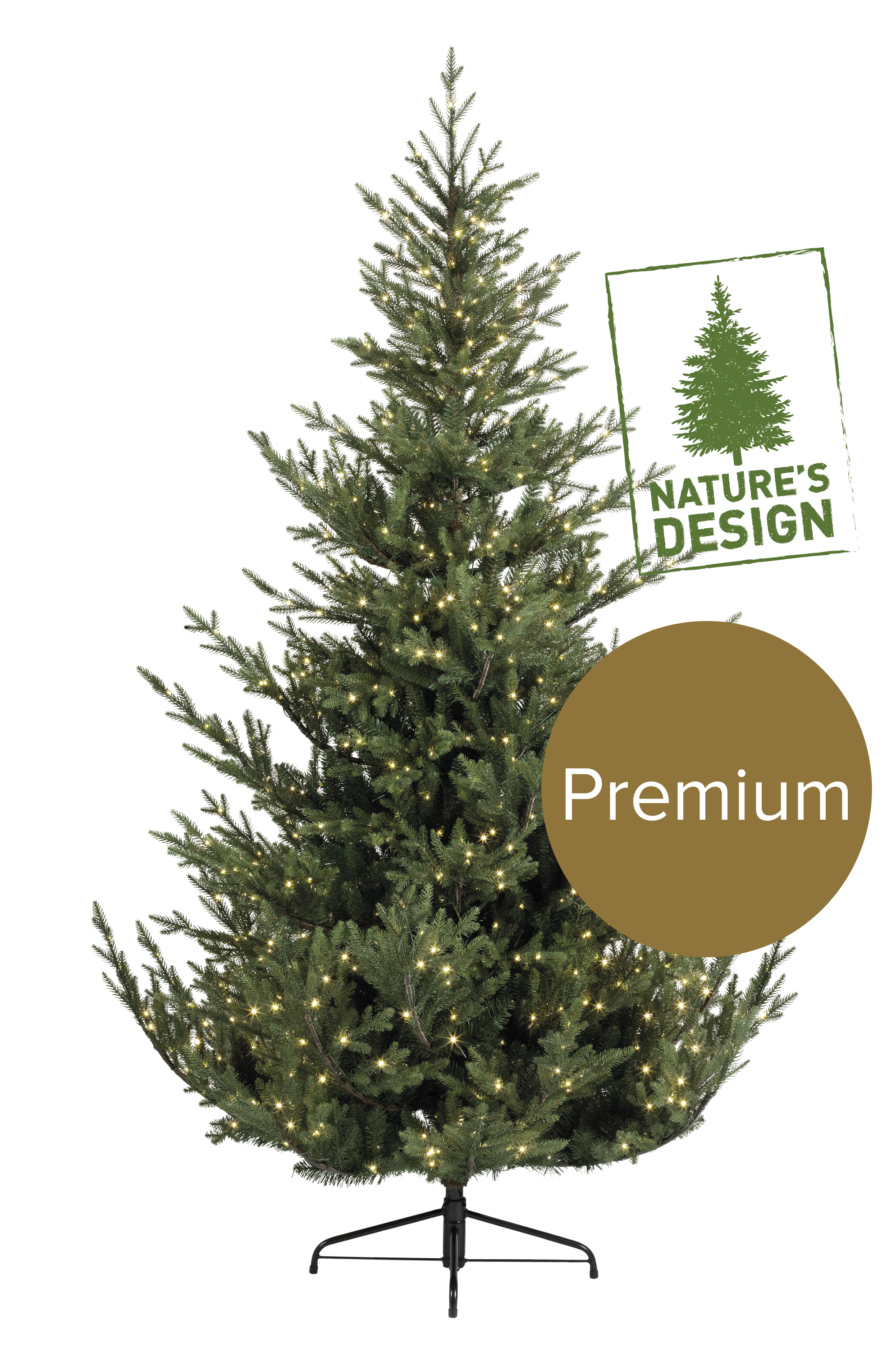 Segmenten_Norway Spruce.png
