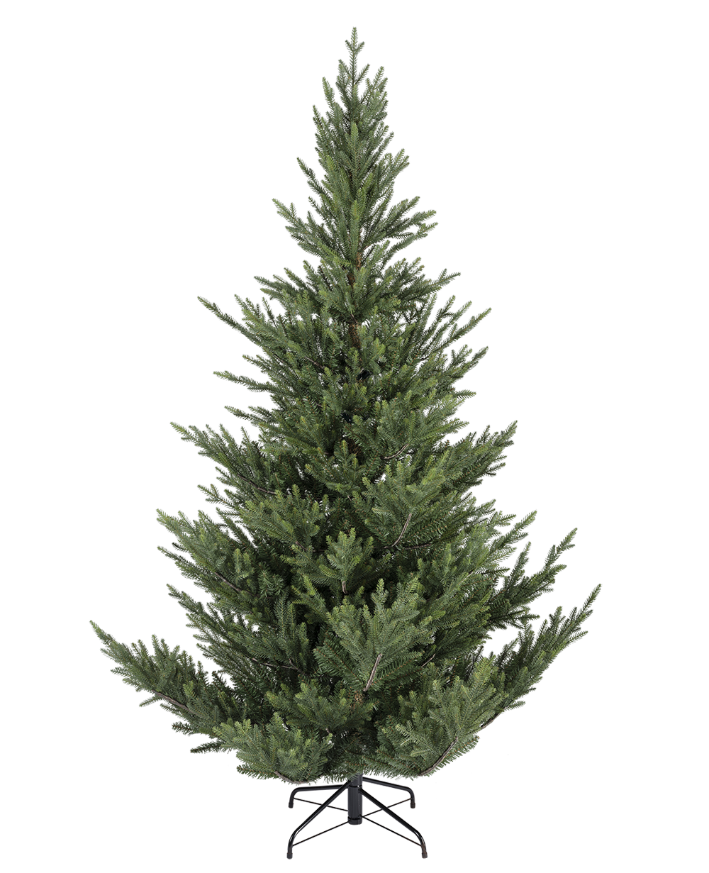 Boomstijl_Natural.png