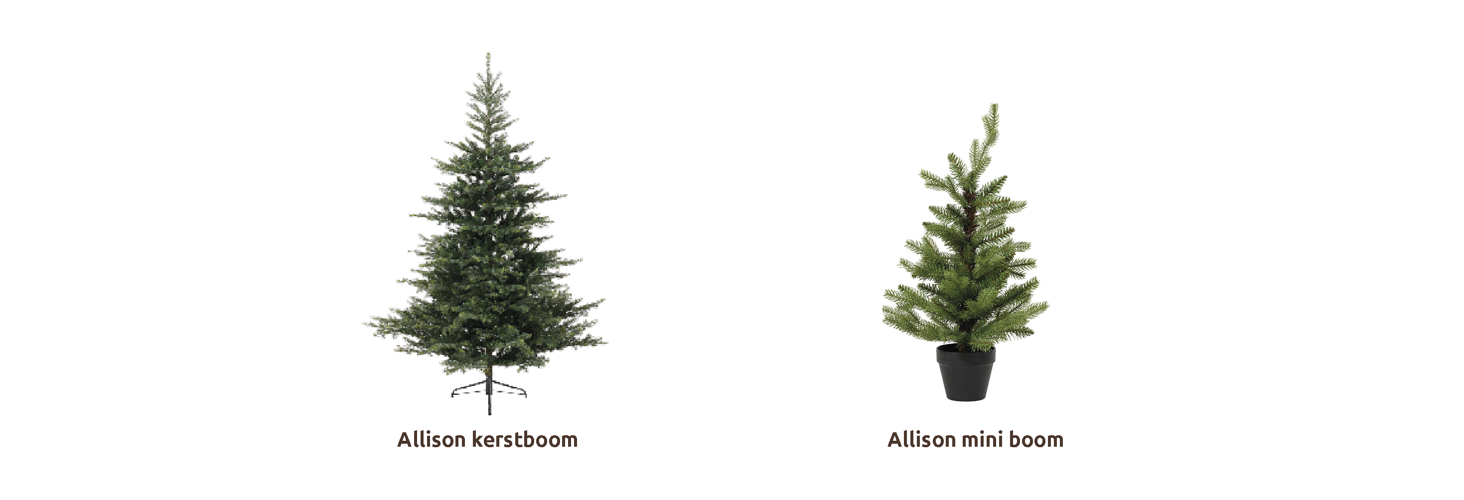 Complete coll Allison_NL.png