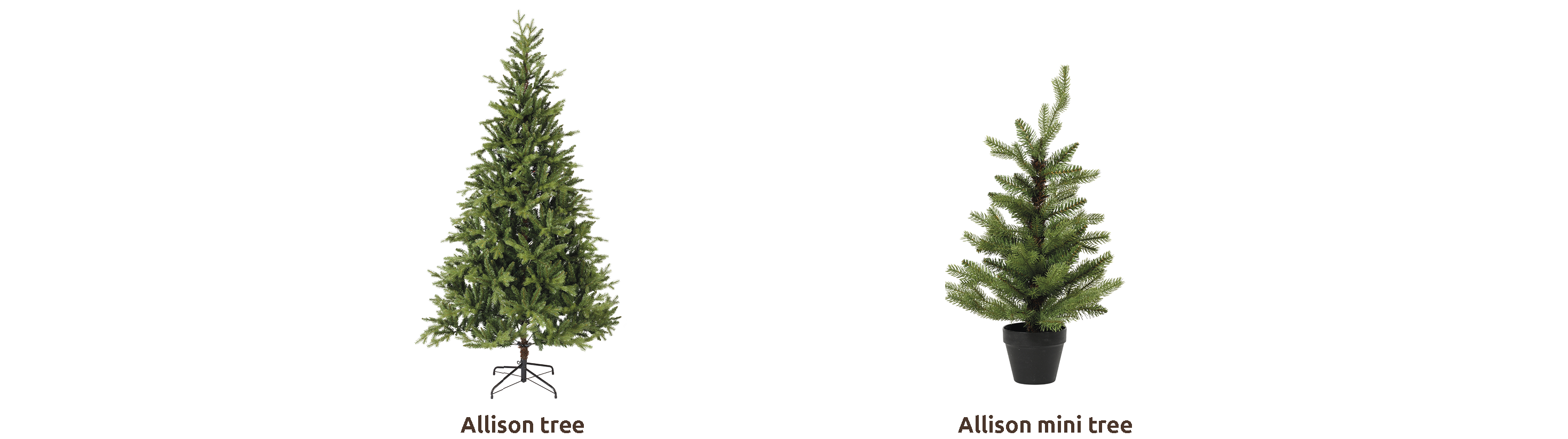 Everlands complete coll_Allison_EN_.png