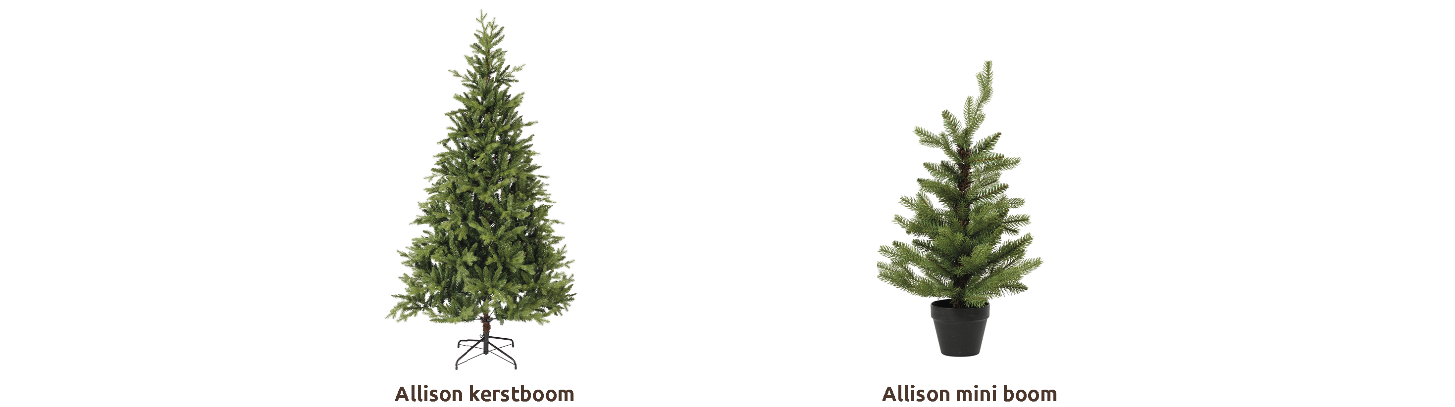 Everlands complete coll_Allison_NL.png
