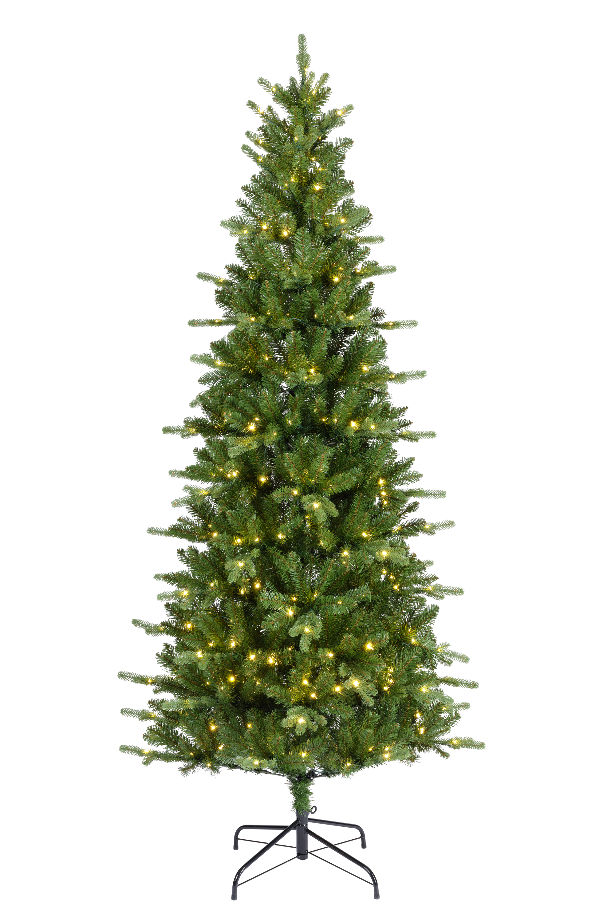 Segmenten_Killington-fir.png