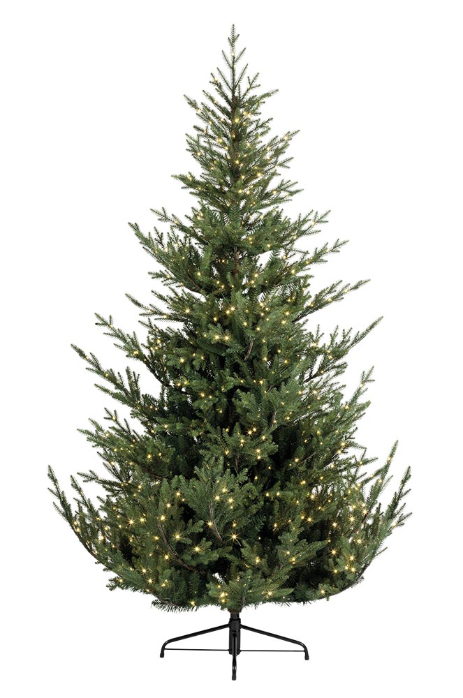 Segmenten_Norway-spruce.jpg